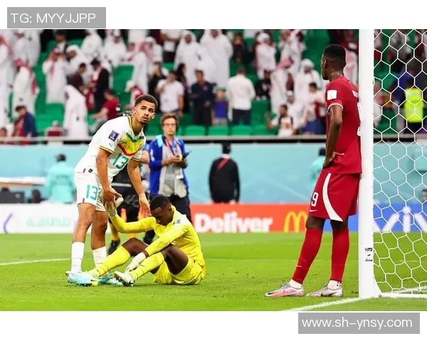 塞内加尔足球明星崛起与球队荣耀之路揭秘 塞内加尔足球明星崛起与球队荣耀之路揭秘